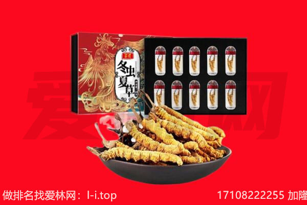 榕江县回收虫草.jpg